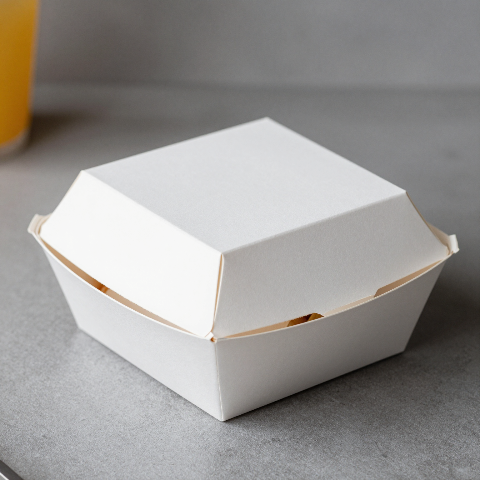 White Takeaway Food Box Design