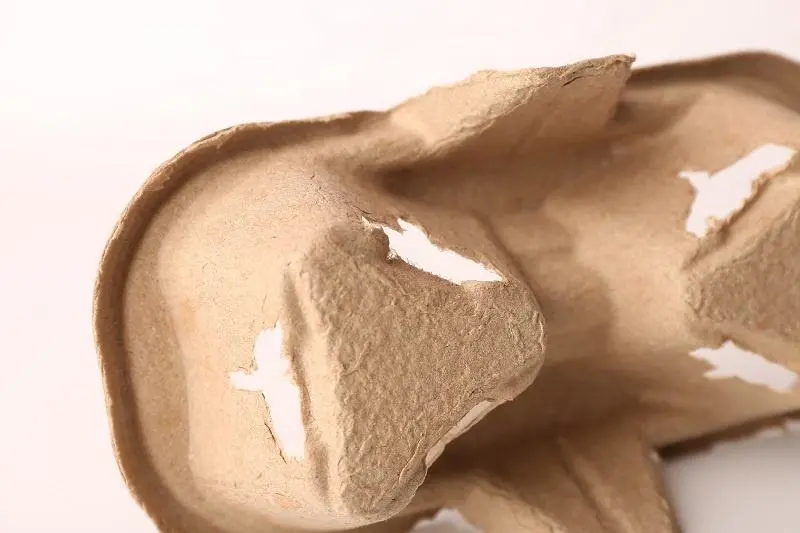 Disposable 2 4 Coffee Drink Sugarcane Pulp Cup Carrier Holder Tray - Image 3