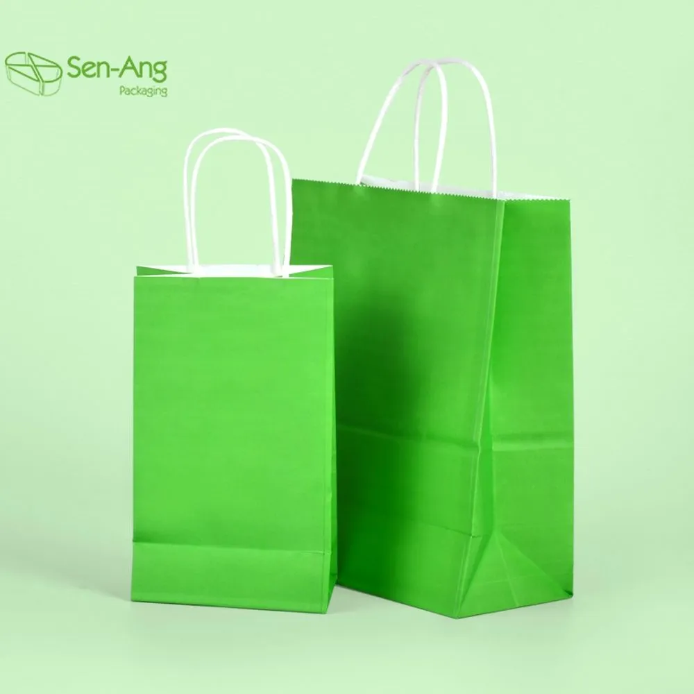 Best Price Luxury Boutique with Handle Paper Gift Bag