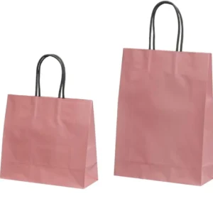 Custom Printed Kraft Shopping Paper Bag Gift Paper Bag
