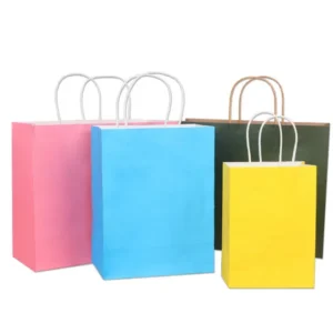 Wholesale Colorful Kraft Gift Shopping Paper Bag With Customized Logo