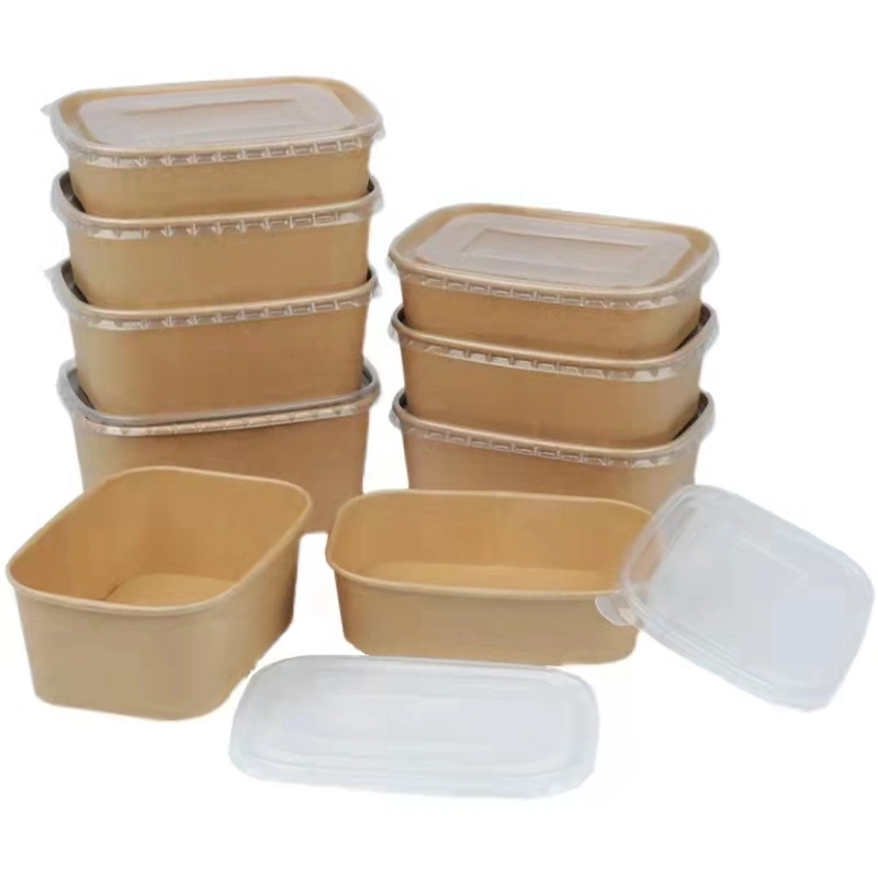 Custom Double Wall Kraft Paper PE Coating Square Fast Food Bowl - Image 3