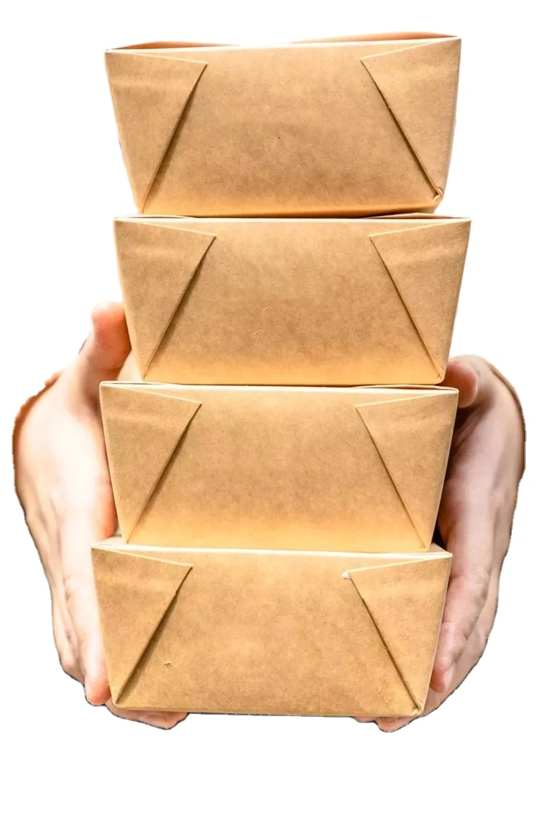 Customized Disposable Paper Lunch Box Takeaway 2-Compartments Kraft Food Box - Image 8