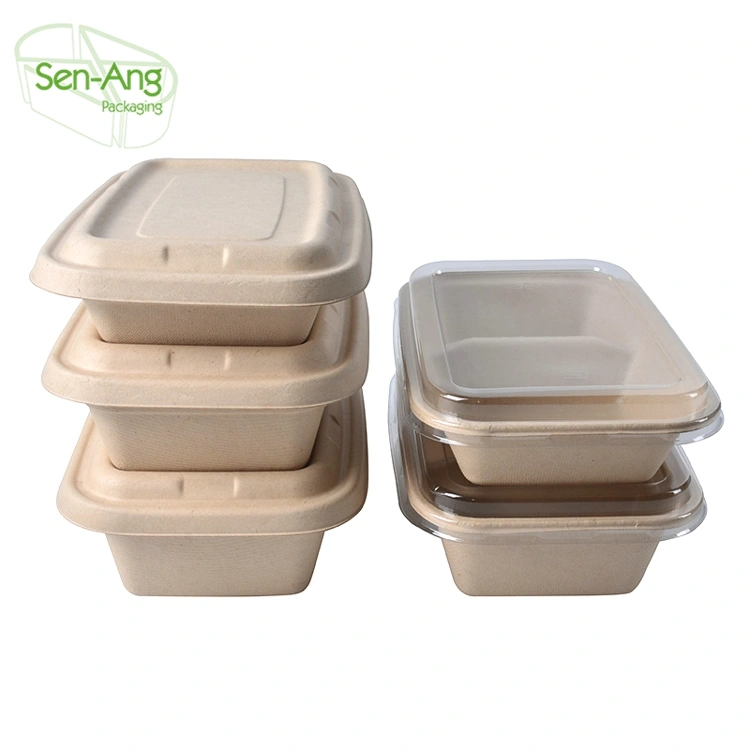 Biodegradable Eco-Friendly Takeaway Sugarcane Food Container