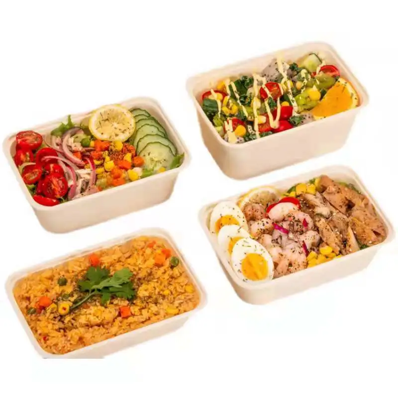 Biodegradable Lunch Box Eco-Friendly Takeaway Tableware Sugarcane Box