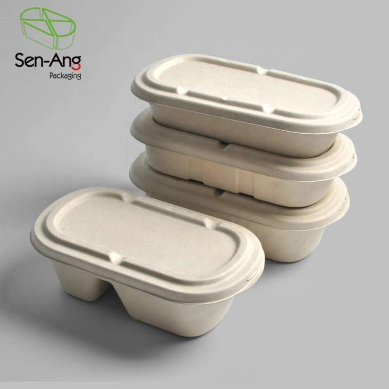 Biodegradable Sugarcane Food Container Bagass Pulp Lunch Box with Lid