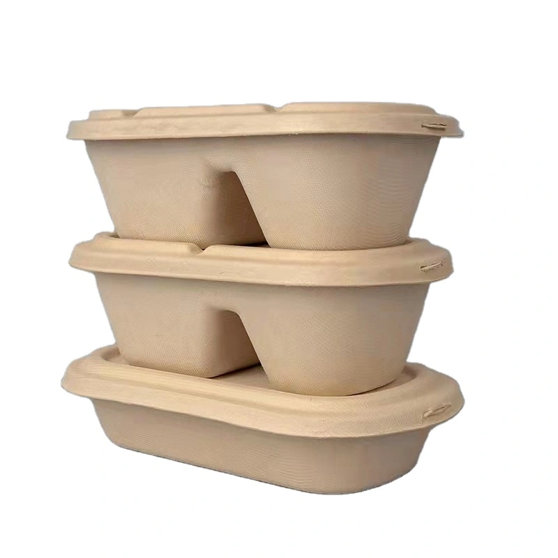 Biodegradable Sugarcane Pulp Food Container Multi Compartments Dining Box