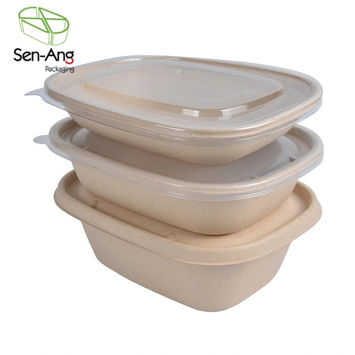Togo Biodegradable Multi Compartments Restaurant Sugarcane Container