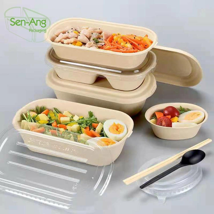 High Quality Lunch Box Sugarcane 3 4 5 Compartment Takeway Food Container