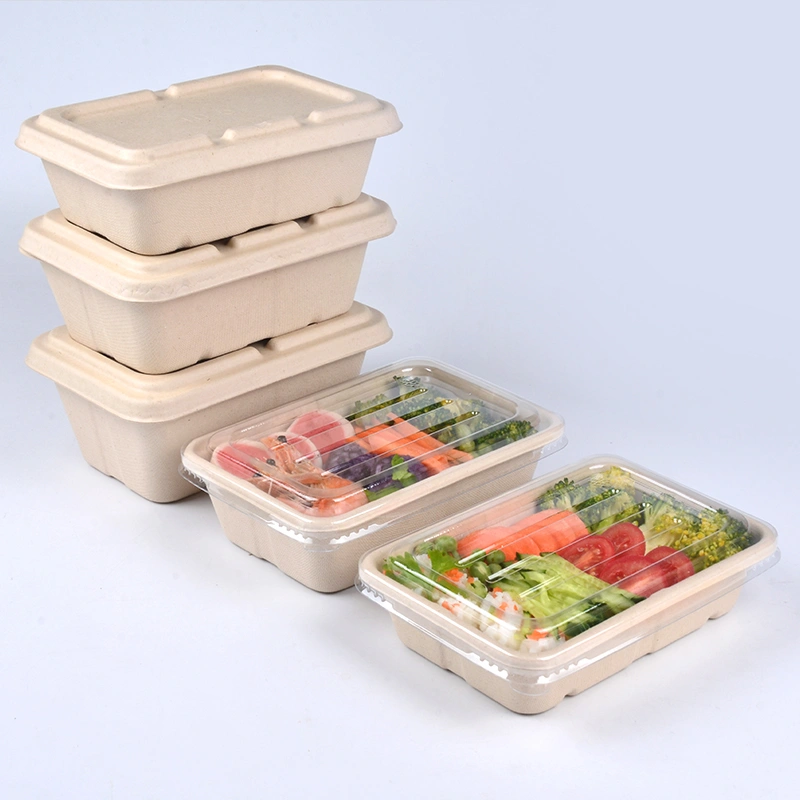 750ml Biodegradable Takeaway Rectangle Bagasse Pulp Food Container