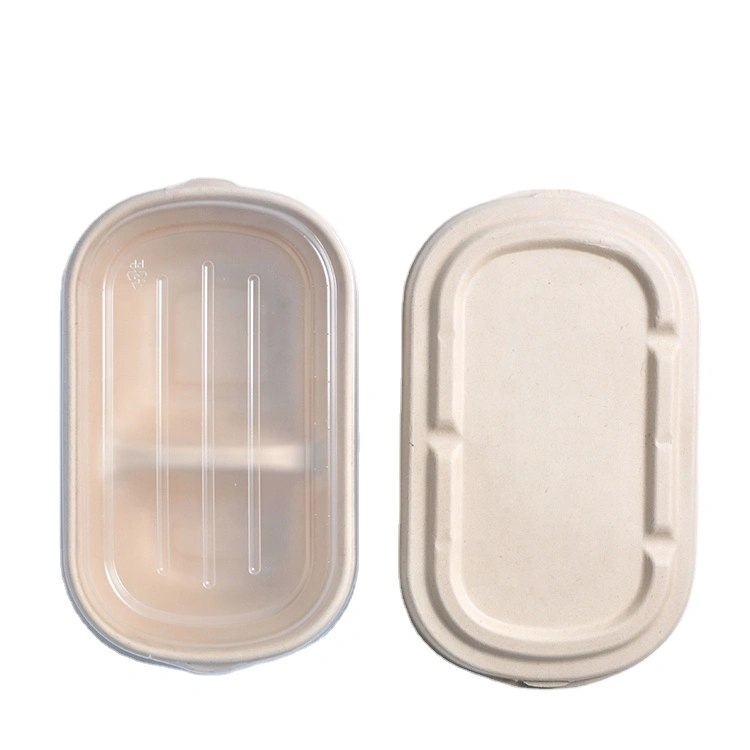Disposable Biodegradable 850ml 1000ml Sugarcane Pulp with Lid Food Container