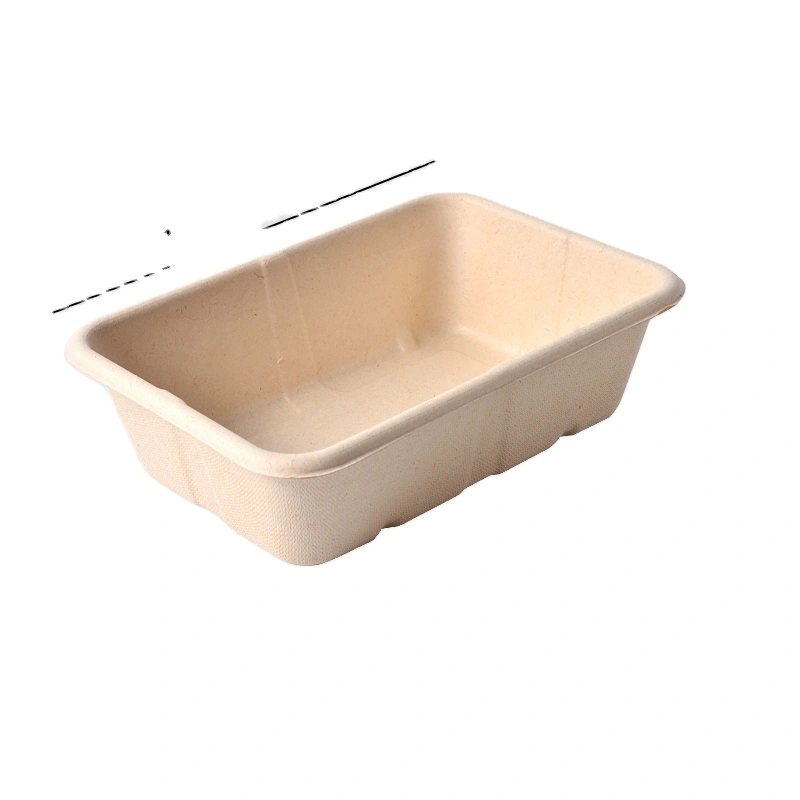 650ml Eco-Friendly Disposable Biodegradable Take Away Sugarcane Lunch Box