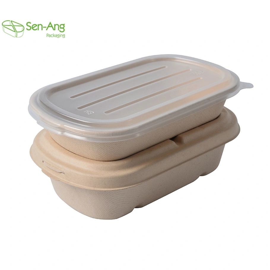 Hot Selling Sustainable Sushi Sugarcane Container Meal Food Box
