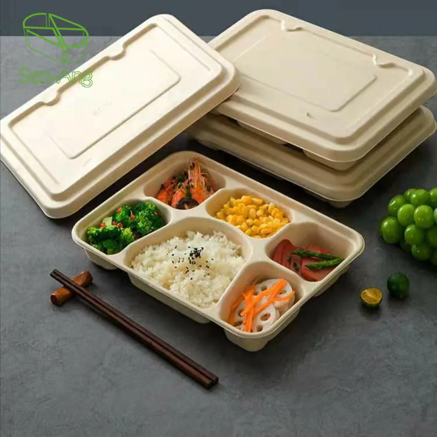 Factory Food Multi Compartments Takeaway Bento Sugarcane Lunch Box