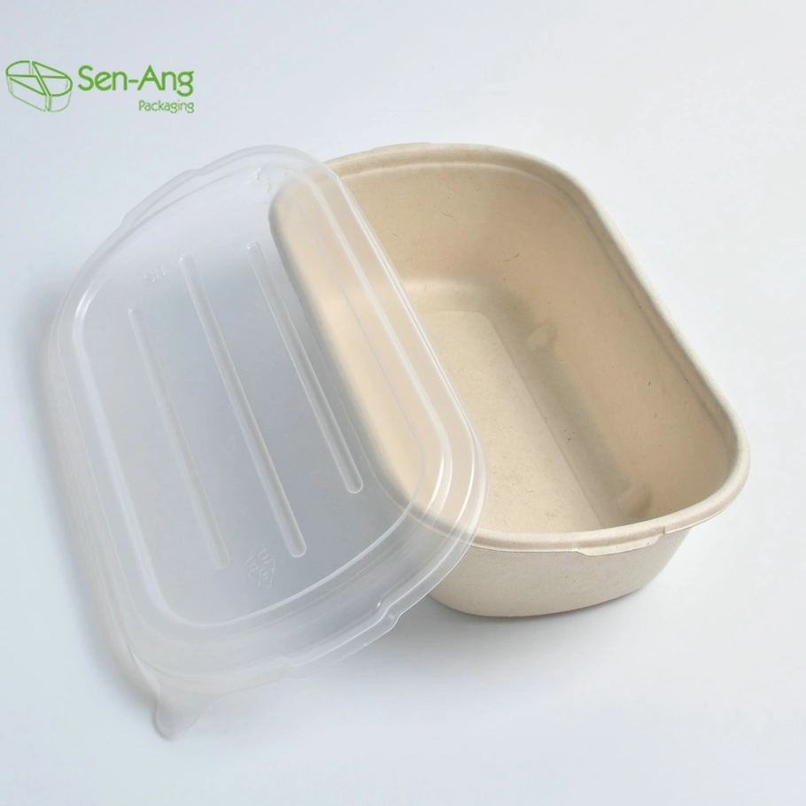 Take Away Multi Compartment Bagasse Pulp Lunch Box with Lid