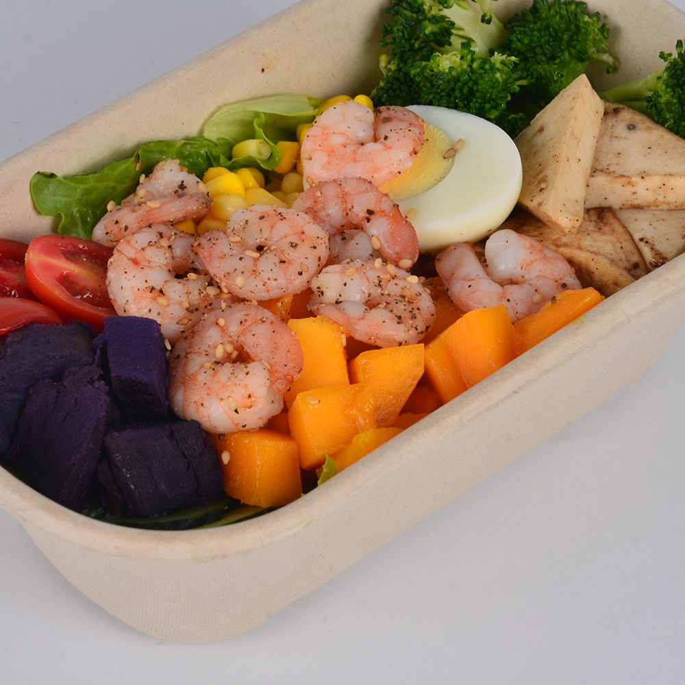 Disposable Hinged Food Container Wholesale Microwaveable Sugarcane Pulp Lunch Box