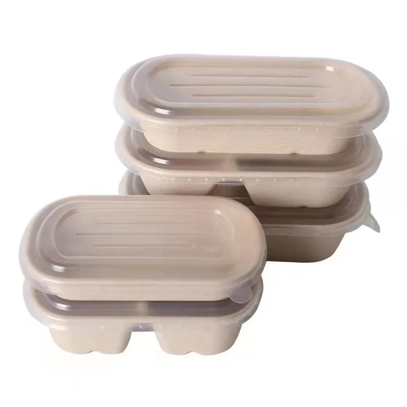 Disposable Lunch Box Biodegradable Sugarcane Pulp Take Away Food Container