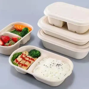 Custom Biodegradable Disposable Sugarcane Bagasse Lunch Box