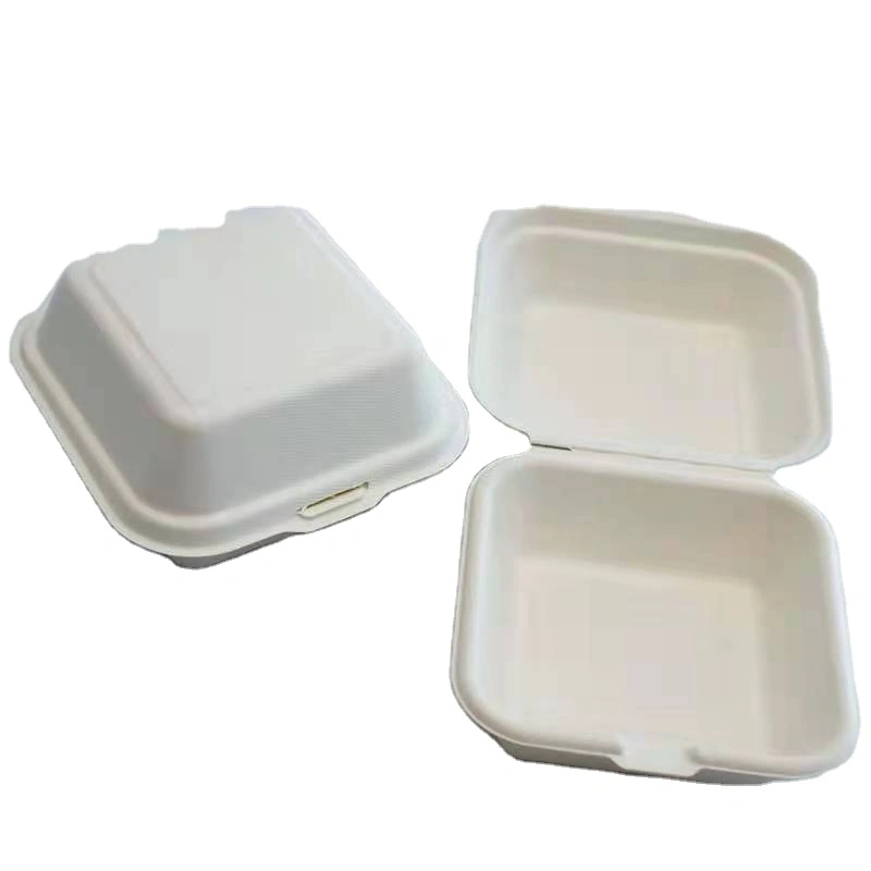 Eco-friendly Biodegradable Lunch Box Compostable Takeaway Food Container