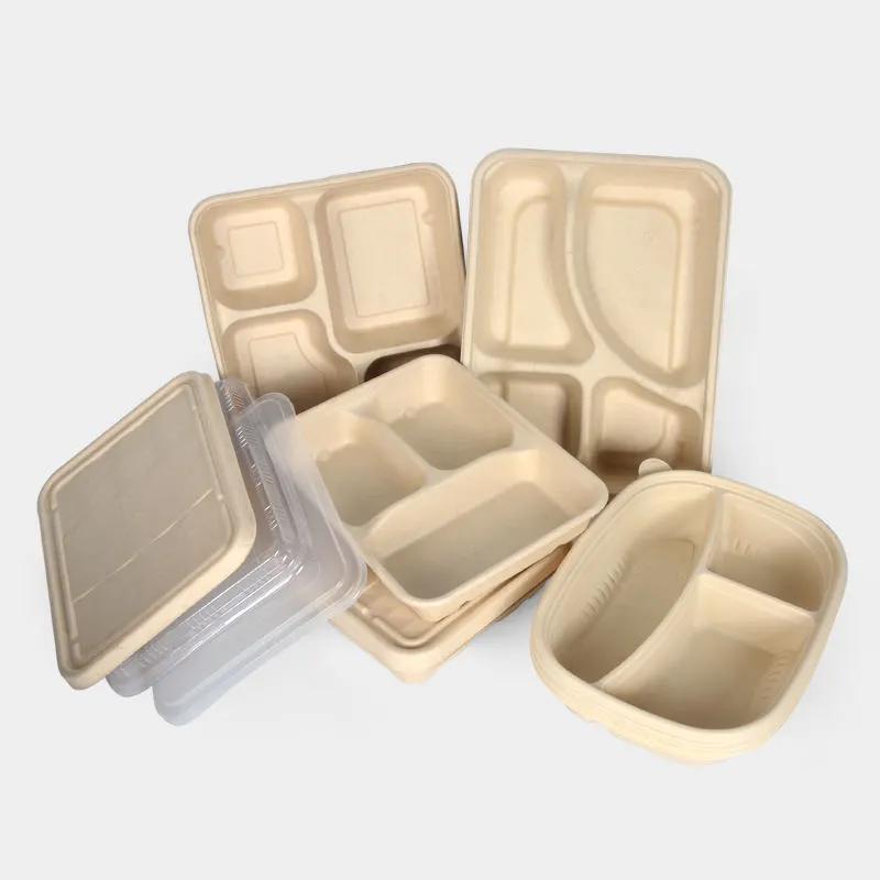 New Style Take Away Bagasse Food Box Biodegradable Sugarcane Container