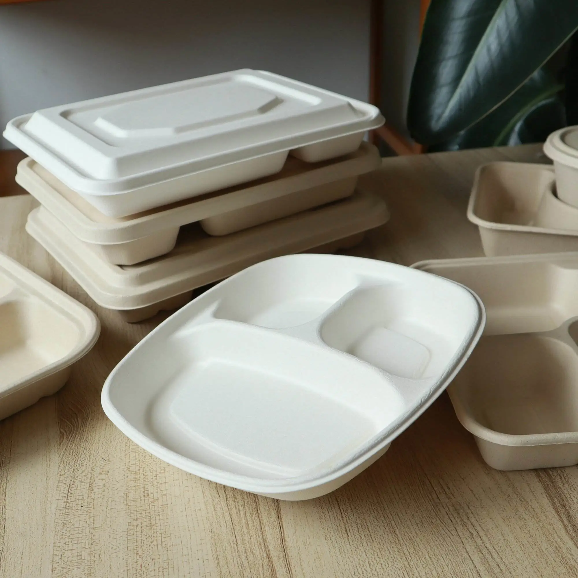 New Product Compartments Sugarcane Pulp Taco Lunch Box