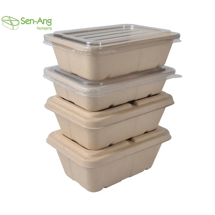 Biodegradable Take Out Lunch Box 1000ml Square Bento Box