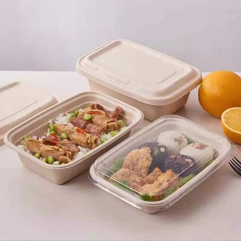 Biodegradable Lunch Box Bagasse Lunch Food Container