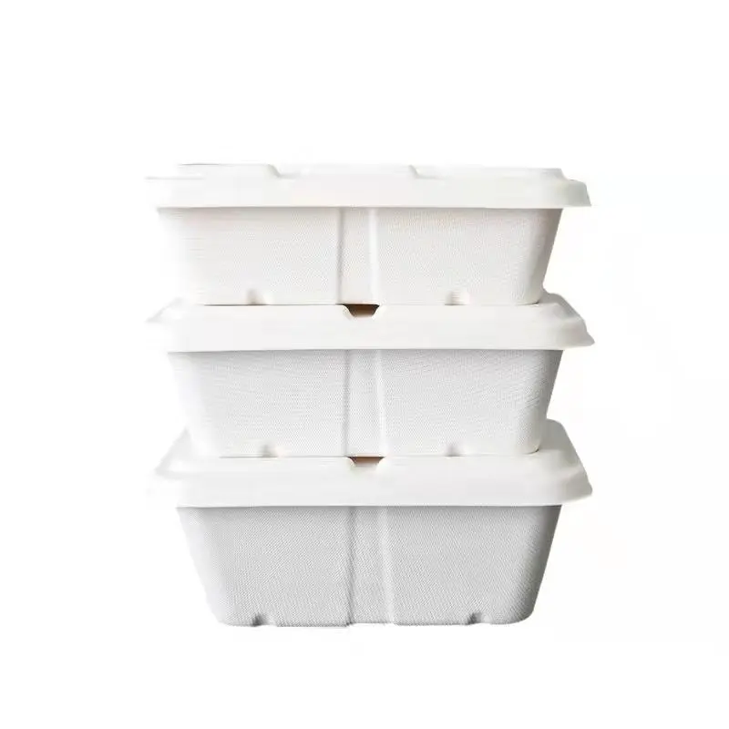 Disposable Factory Outlet Bagasse Lunch Box Takeaway Food Container with Lid