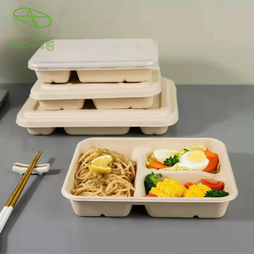 New Design Biodegradable Disposable Sugarcane Food Container