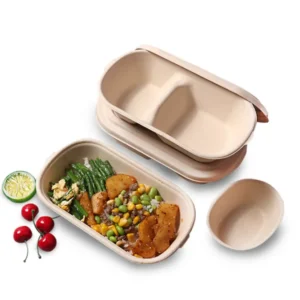 Factory Wholesale Biodegradable Bagasse Pulp 800ml Eco Friendly Food Box