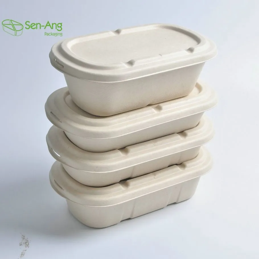 Disposable Biodegradable Promotion Sugarcane Food Container