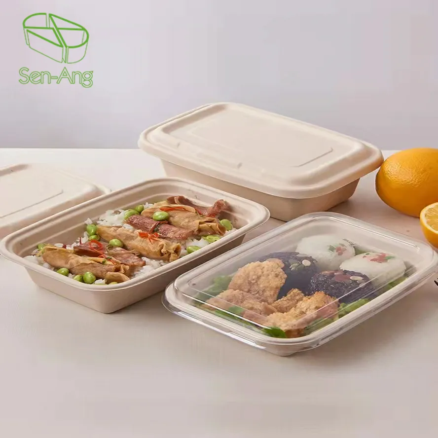 Take Away Bagasse Lunch Box with Lid Sugarcane Food Container