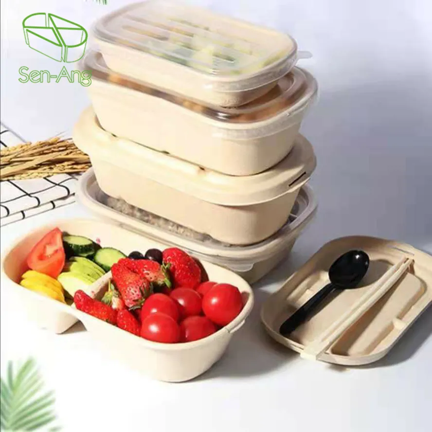 Biodegradable Top Fashion Sustainable Oval Sugarcane Food Container