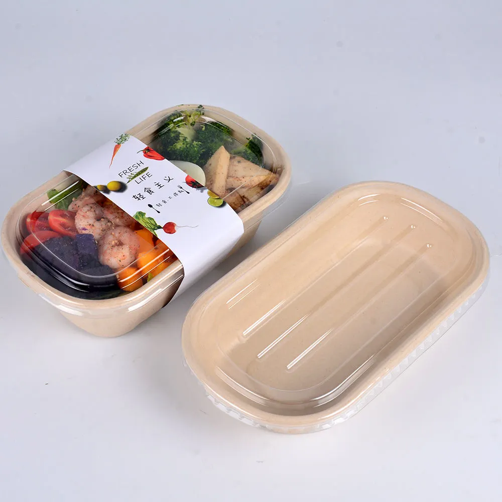 Good Selling Custom Take Away Bagasse Food Container