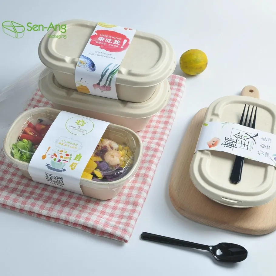 New Arrival Shallow Compartment Oval Sugarcane Food Container
