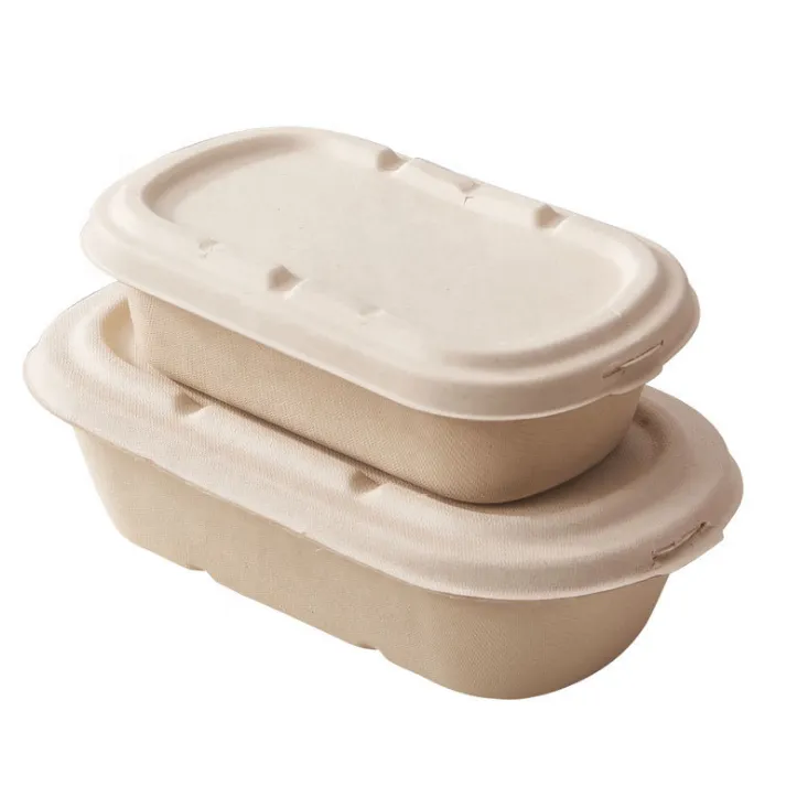 Custom Biodegradable Sugarcane Pulp Oval Meal Box with Lid Wholesale