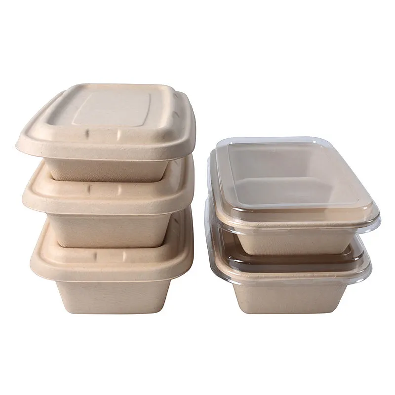 Brand New Environmental Take Away Sugarcane Pulp Food Container