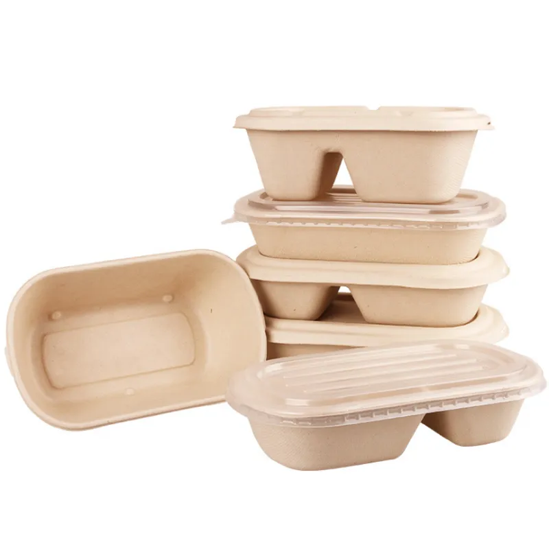 Disposable Sugarcane Pulp Biodegradable Packaging Food Container