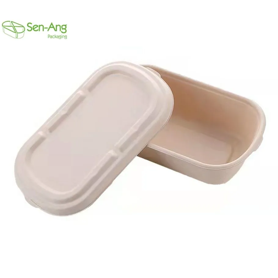 Custom Disposable 500ml Bagasse Take Away Sugarcane Food Container