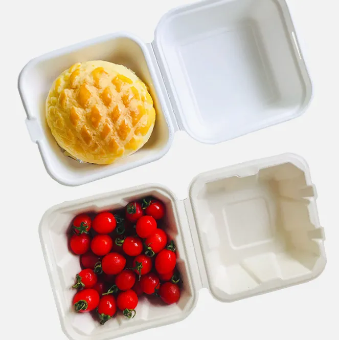 Disposable Compostable Takeaway Bagasse Food Clamshell Container