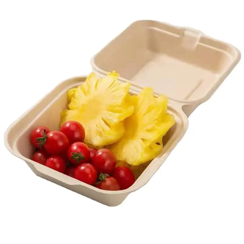 Custom Biodegradable Takeout Bagasse Hamburger Clamshell Box