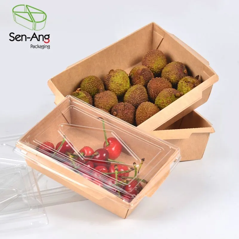 Disposable Kraft Paper Salad Container Takeaway Fruit Box with Clear Lid - Image 7