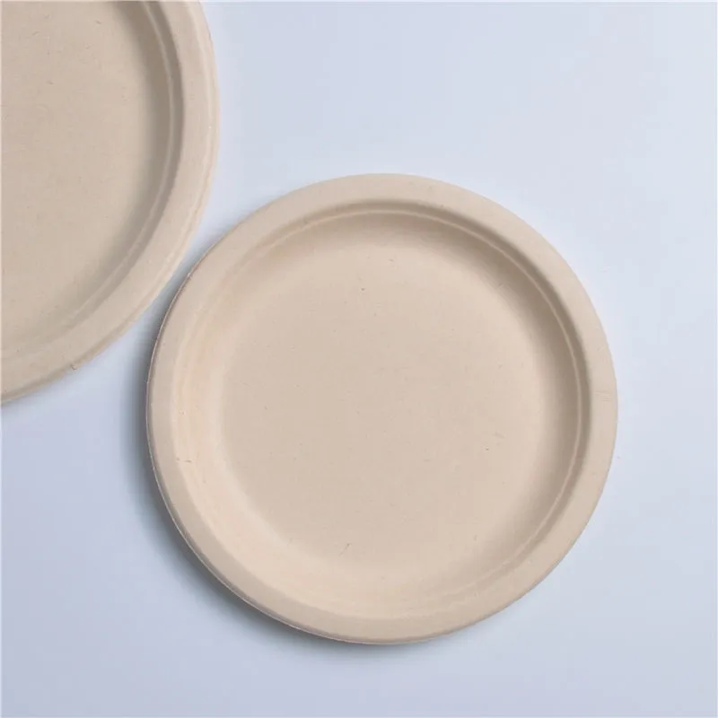 Eco Biodegradable Takeaway Sugarcane Food Plate