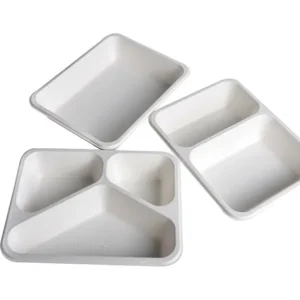 Eco Party Biodegradable Sugarcane Pulp Tableware Bagasse Plate