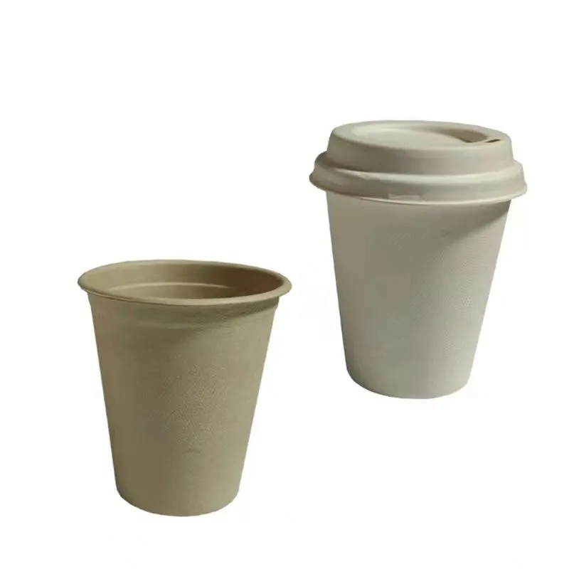 Custom Eco-Friendly Disposable Recyclable Beverage Bagasse Cup